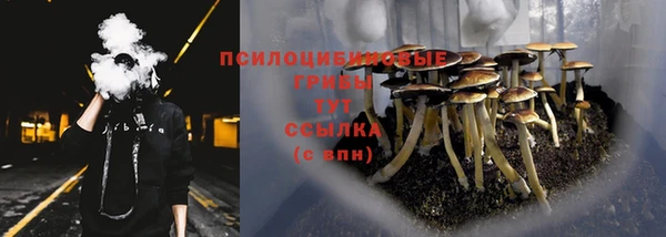 дживик Коряжма