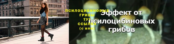 ГАЛЛЮЦИНОГЕННЫЕ ГРИБЫ Краснослободск