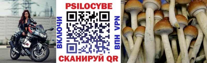 Псилоцибиновые грибы мицелий  Октябрьский 